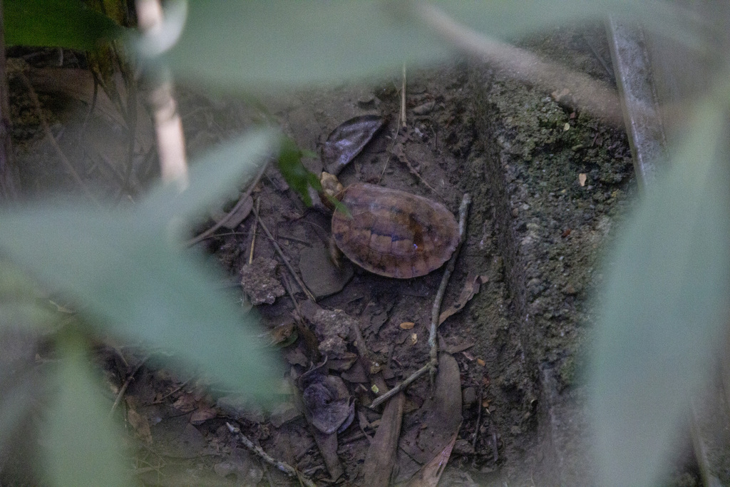 Photo by Luan Mai Sy