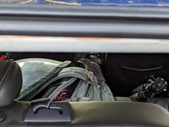 Acridotheres javanicus