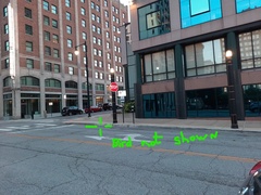 Geothlypis philadelphia