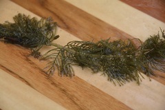 Myriophyllum sibiricum