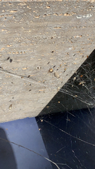 Latrodectus geometricus