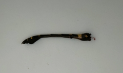 Ictinogomphus decoratus