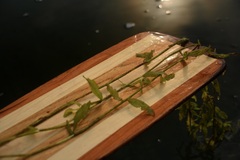 Potamogeton gramineus