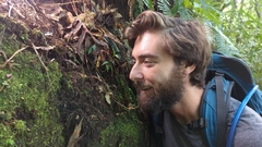 Psilocybe neoxalapensis