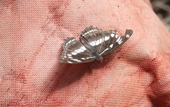 Limenitis helmanni