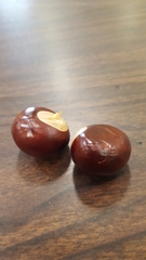 Aesculus hippocastanum