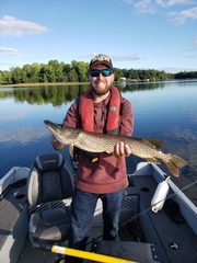 Esox lucius