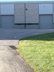 Passer domesticus