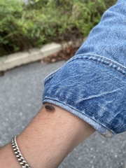 Armadillidium nasatum