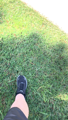 Stenotaphrum secundatum