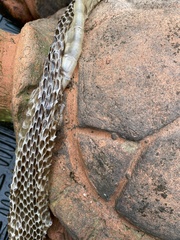 Serpentes