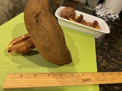 Lanmaoa pallidorosea