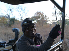 Hystrix africaeaustralis