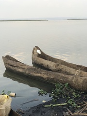 Egretta garzetta garzetta