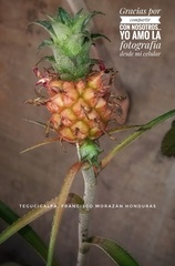 Ananas