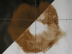 Volvopluteus gloiocephalus