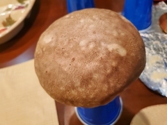 Lycoperdaceae