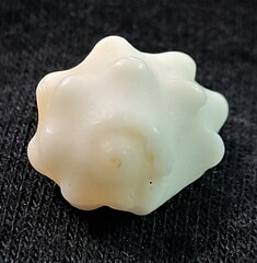 Acanthais triangularis