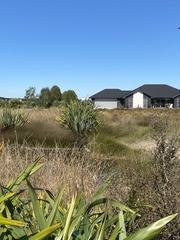Egretta novaehollandiae novaehollandiae