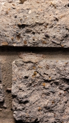 Iridopsis defectaria