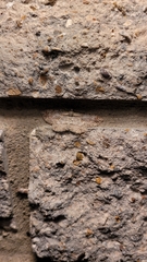 Iridopsis defectaria