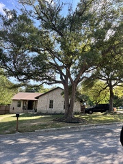 Quercus sinuata sinuata