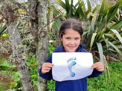 Dacrycarpus dacrydioides