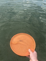 Cyprinella spiloptera