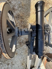 Gloeophyllum sepiarium