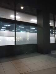 Archilochus colubris