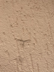 Emmelina