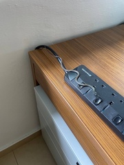 Chrysopelea paradisi