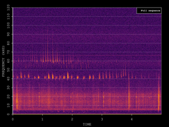 Pipistrellus nathusii