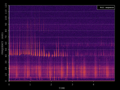 Pipistrellus nathusii