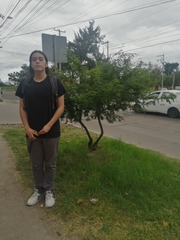 Vachellia farnesiana