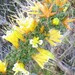 Lambertia echinata - Photo (c) Mark Clarke, algunos derechos reservados (CC BY-NC), subido por Mark Clarke