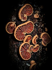 Anthracophyllum archeri