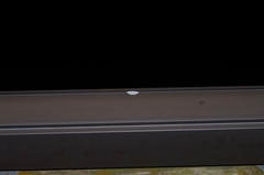 Thalassodes intaminata