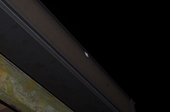 Thalassodes intaminata