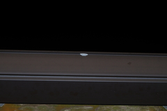 Thalassodes intaminata