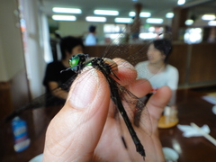 Somatochlora viridiaenea