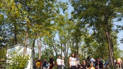 Danaus plexippus plexippus