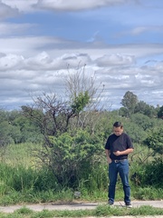 Vachellia schaffneri