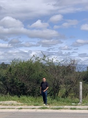 Vachellia farnesiana