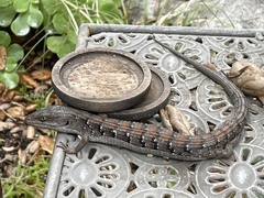 Elgaria multicarinata webbii