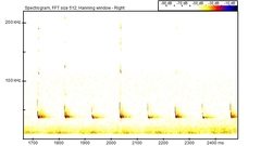 Pipistrellus nathusii