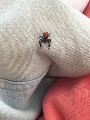 Phidippus insignarius