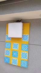 Hirundo rustica