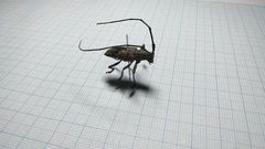 Pelargoderus bipunctatus
