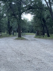 Sciurus nayaritensis